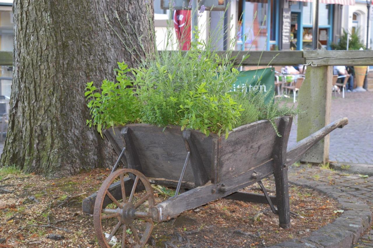 מלון Steinau an der Straße Burgmannenhaus מראה חיצוני תמונה